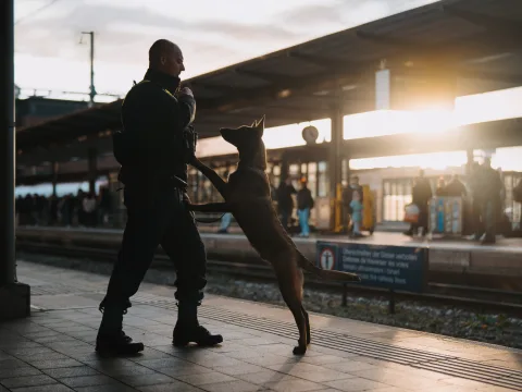 Ein Schäfterhund springt am Polizisten hoch, auf dem Perron mit Sonnenuntergang im Hintergrund.