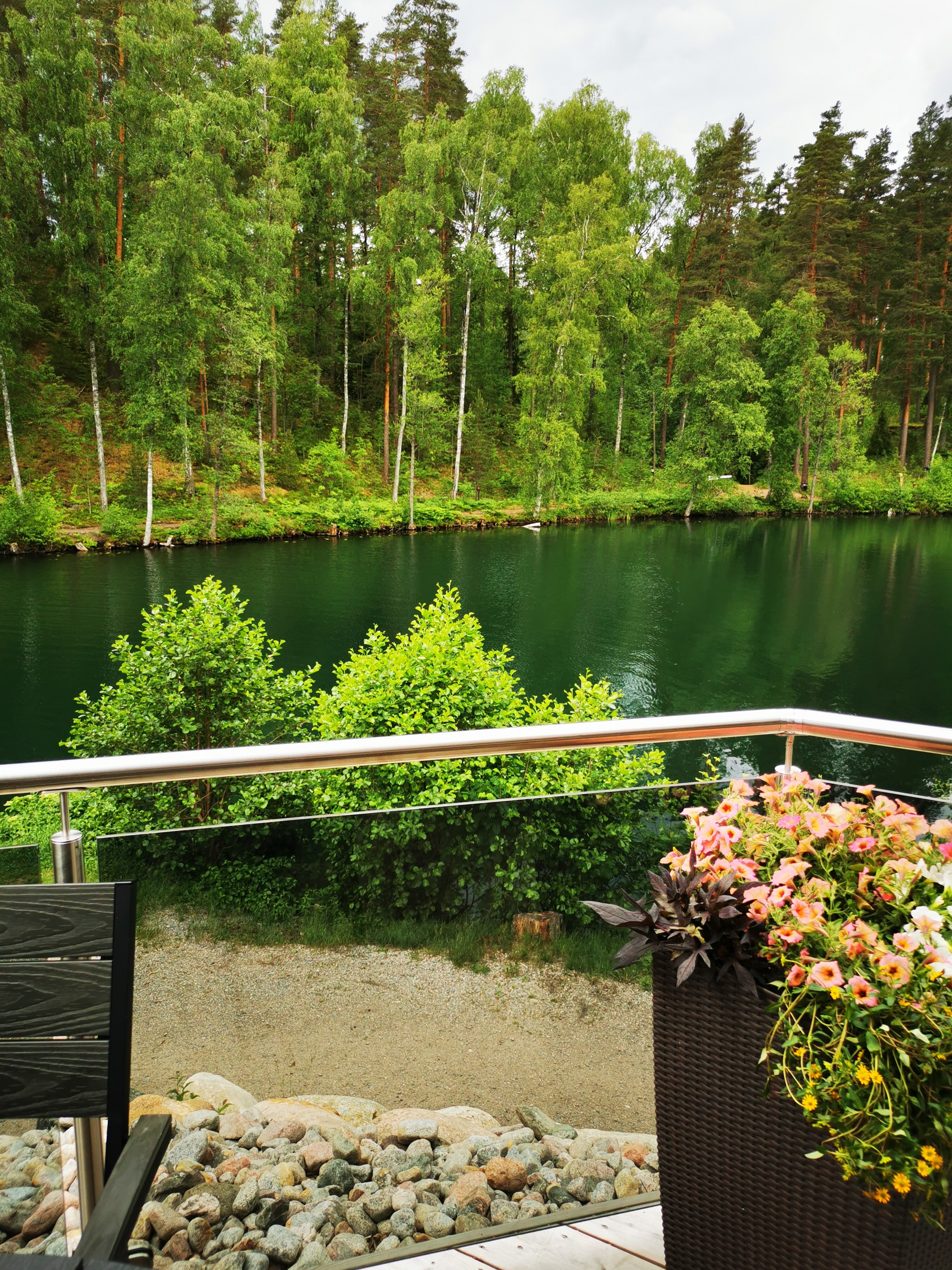 Palmu terassi_20240611_152719