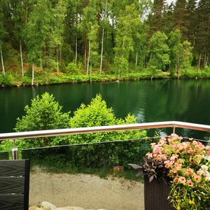 Palmu terassi_20240611_152719