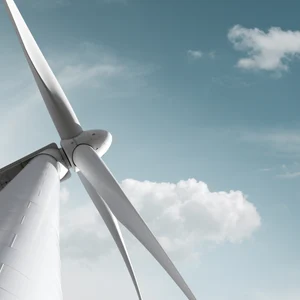 AdobeStock_101476841