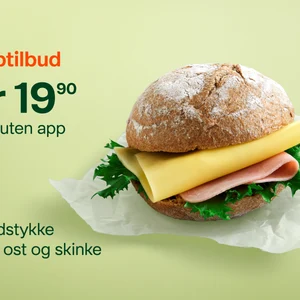 Real_SOME_P02P03_6000x4000_nettside_3