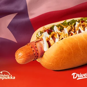 Texas_verkkosivuille_2000x1500_dog