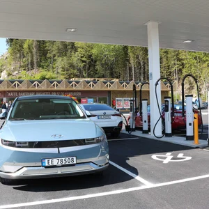 St1_shell_Lonelier_web