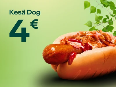 Kesä Dog 4 €. Kuvassa hodari vihreää taustaa vasten.