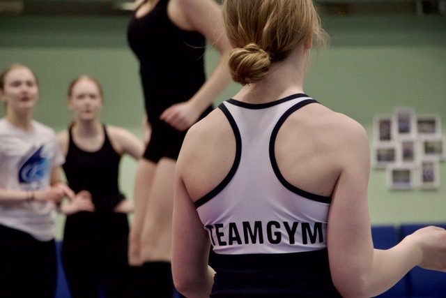 TeamGym
