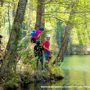 Rantafiilistelyä lähikuva