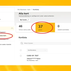 Bild över exempel på Mina sidor