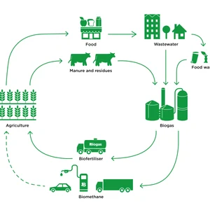 Biogas