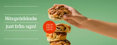 PLOQ_bullar_hemsida_1440x562