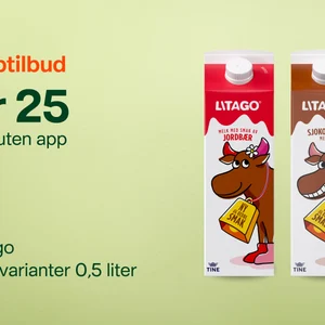 Real_SOME_P01_6000x4000_nettside