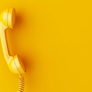 b0ceaf08-44d0-4a61-8442-ff00633ea44c