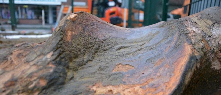 Abdruck auf einer Wurzel von der Gasleitung