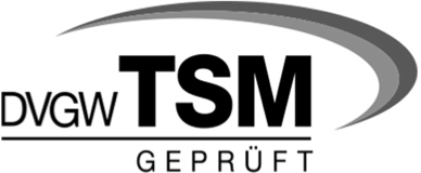 Logo mit den Buchstaben DVGW TSM und einem schwarzen und grauen Bogen.