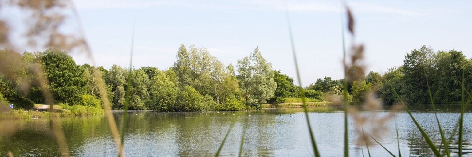 Regenrückhaltebecken im Osnabrücker Stadtteil Hellern