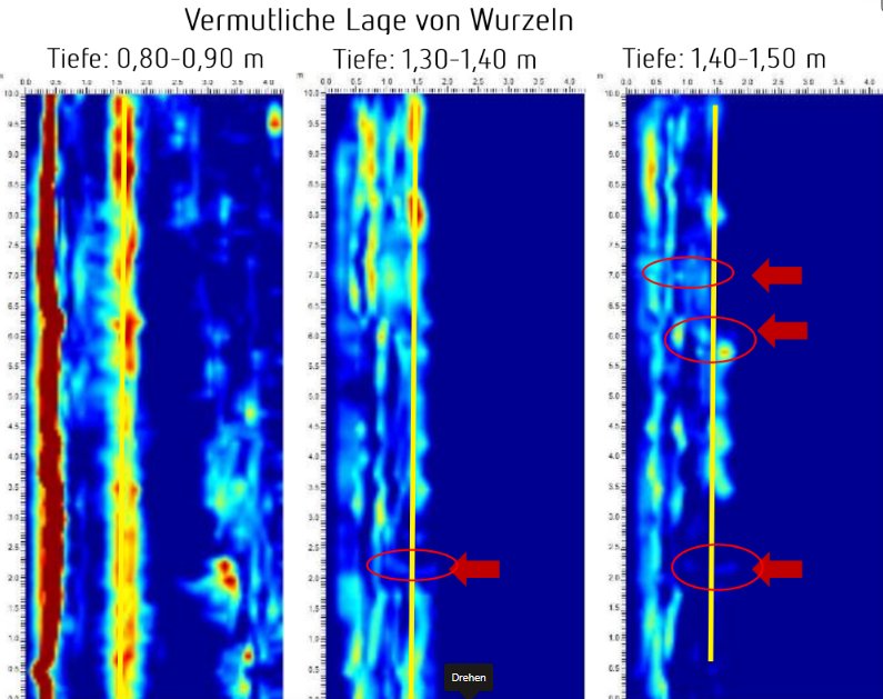 Die Georadar-Auswertung zeigt mehrere Tiefenbereiche, in denen vermutlich Wurzeln verlaufen. In den Bildern sind die Tiefen 0,80–0,90 m, 1,30–1,40 m sowie 1,40–1,50 m dargestellt. Vermutete Wurzelpositionen sind jeweils mit Pfeilen markiert.
