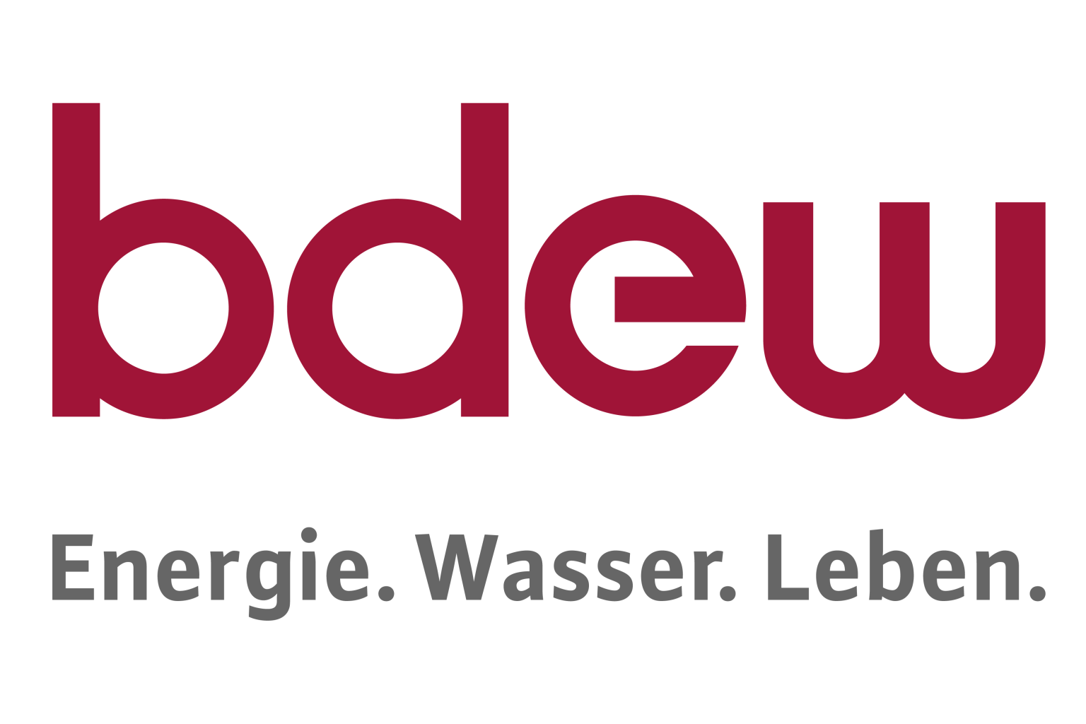 Bundesverband der Energie- und Wasserwirtschaft