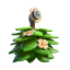 Suspicious Bush — Clash Royale card art (Supercell Fan Kit)