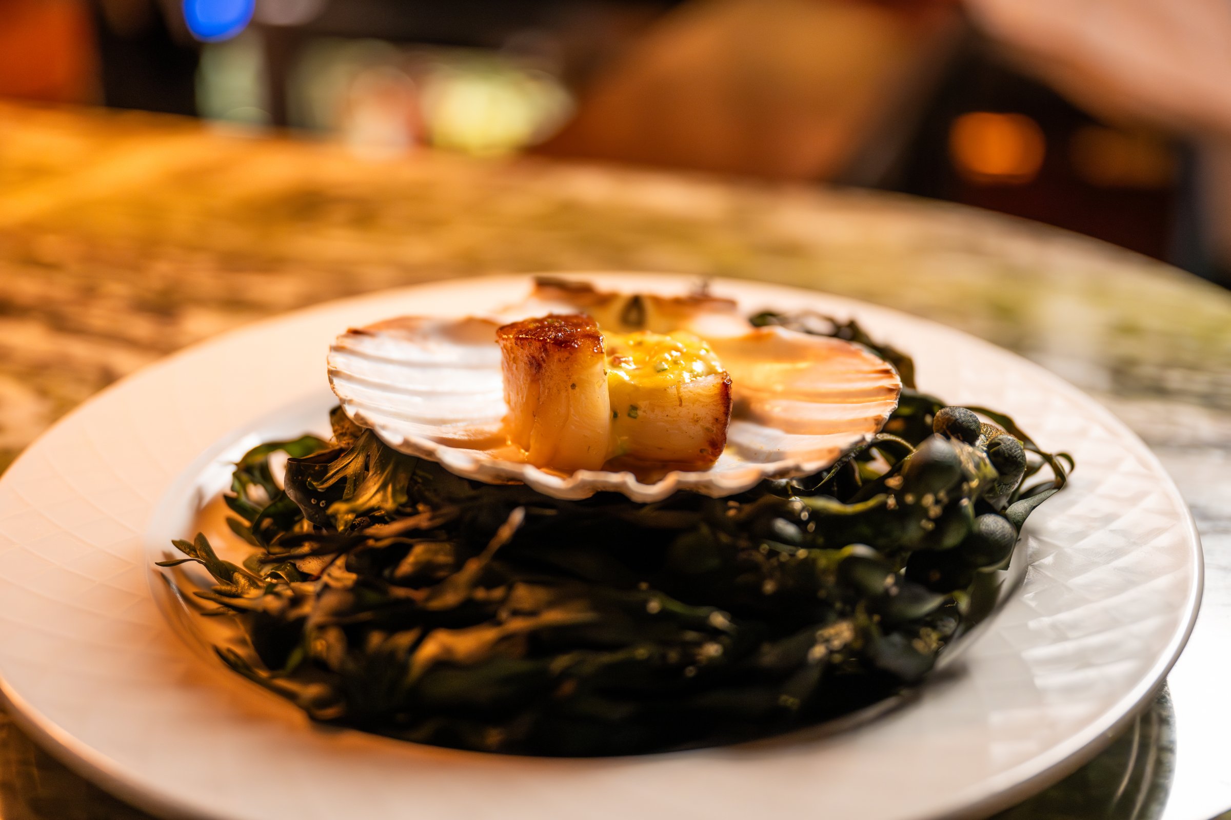 Freshly seared scallops, beautifully presented with seaweed garnish, reflecting the premium seafood dining experience at Academy Restaurant.