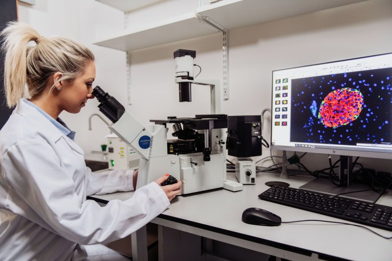 Ulster University image
