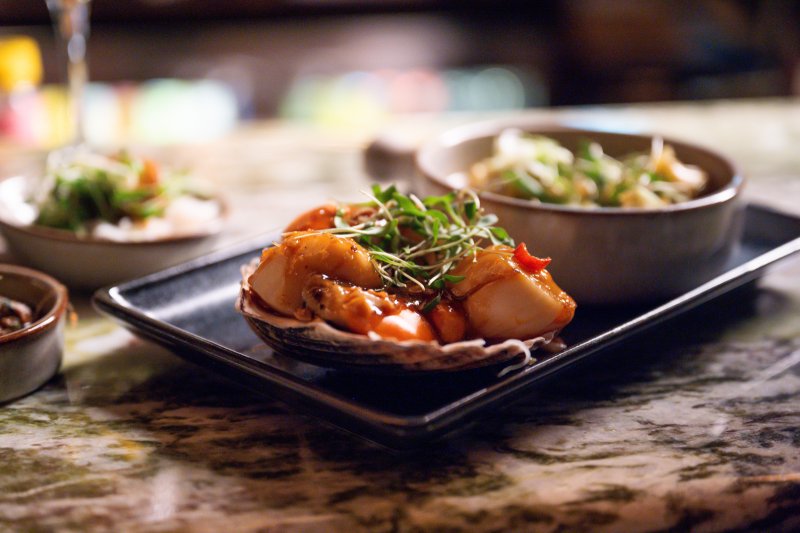 Fresh scallop dish with microgreens served at Academy Restaurant Belfast.