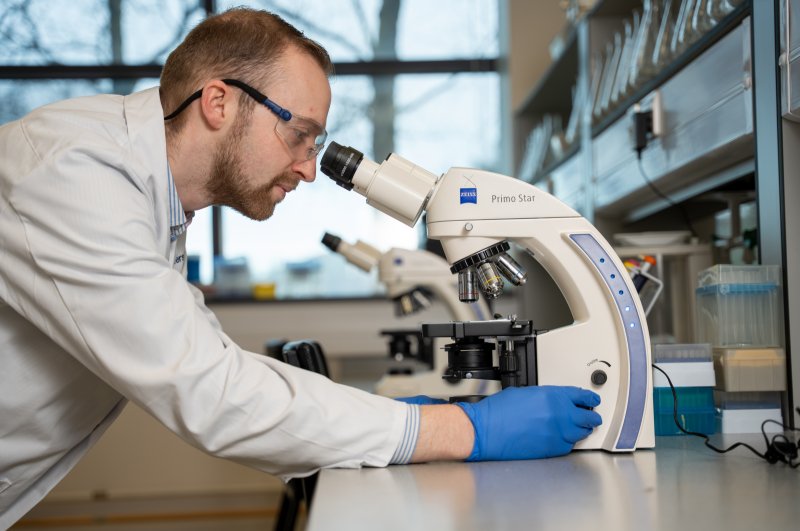 Ulster University image
