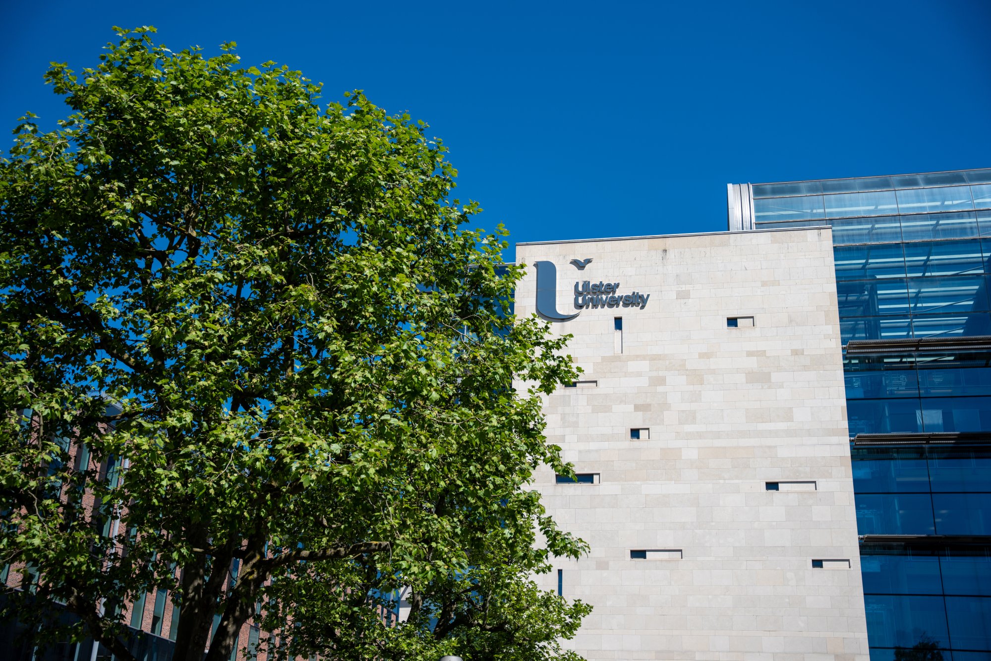 Transforming tomorrow through sustainability education
