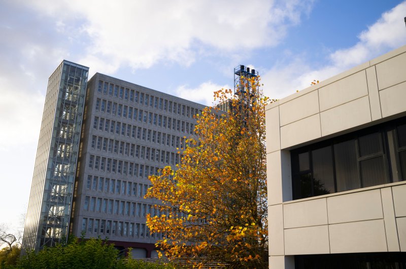 Ulster University image