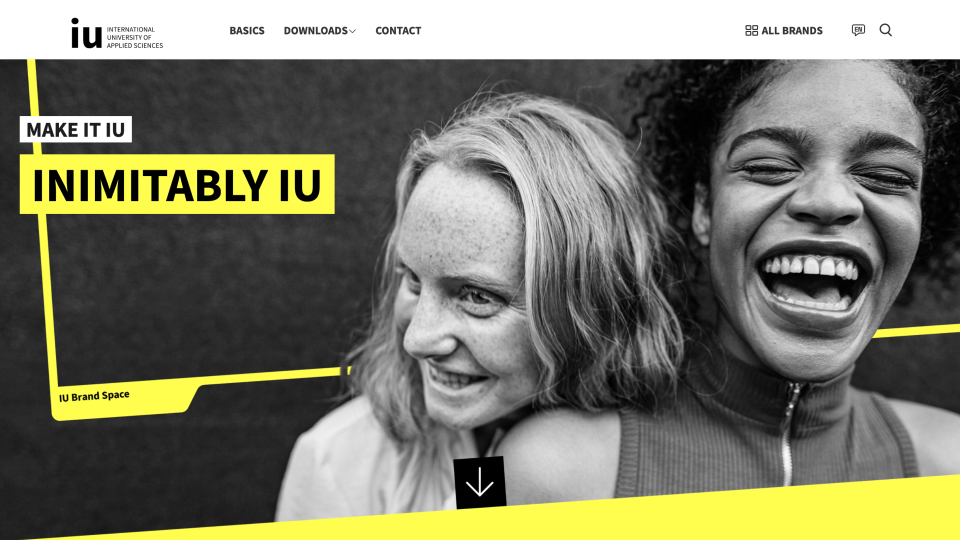 IU International University cover image