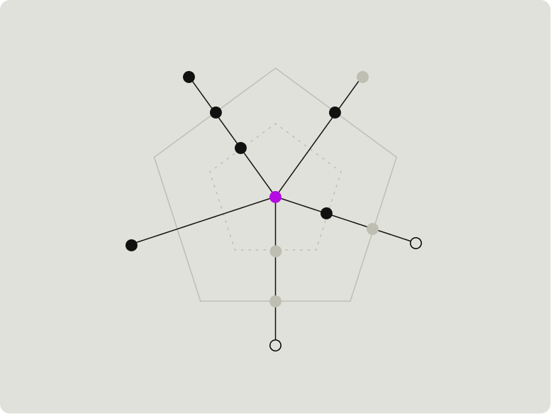 5 principles that guide us