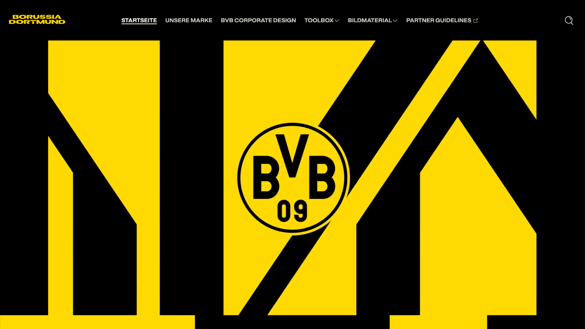 Borussia Dortmund cover image