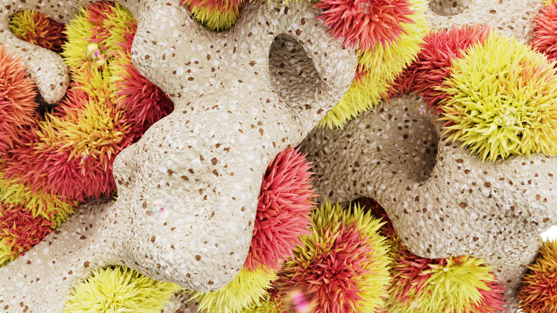 Frontify for M+C Saatchi