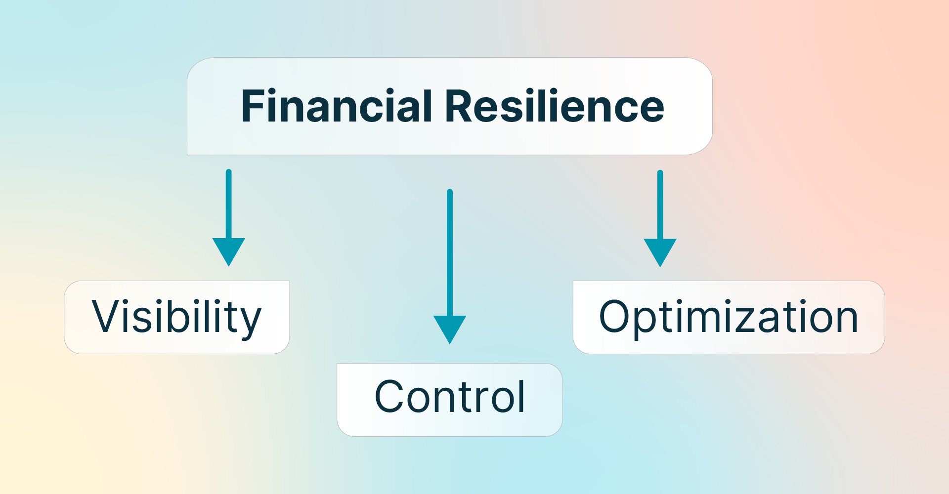 Diagram showing the three pillars of business spend management: visibility, control, and optimization supporting financial resilience.