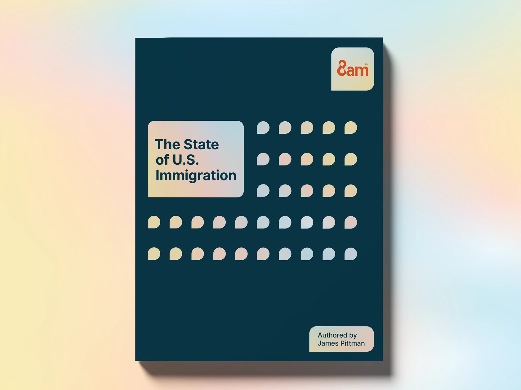 Image of a downloadable resource that says "The State of U.S. Immigration"