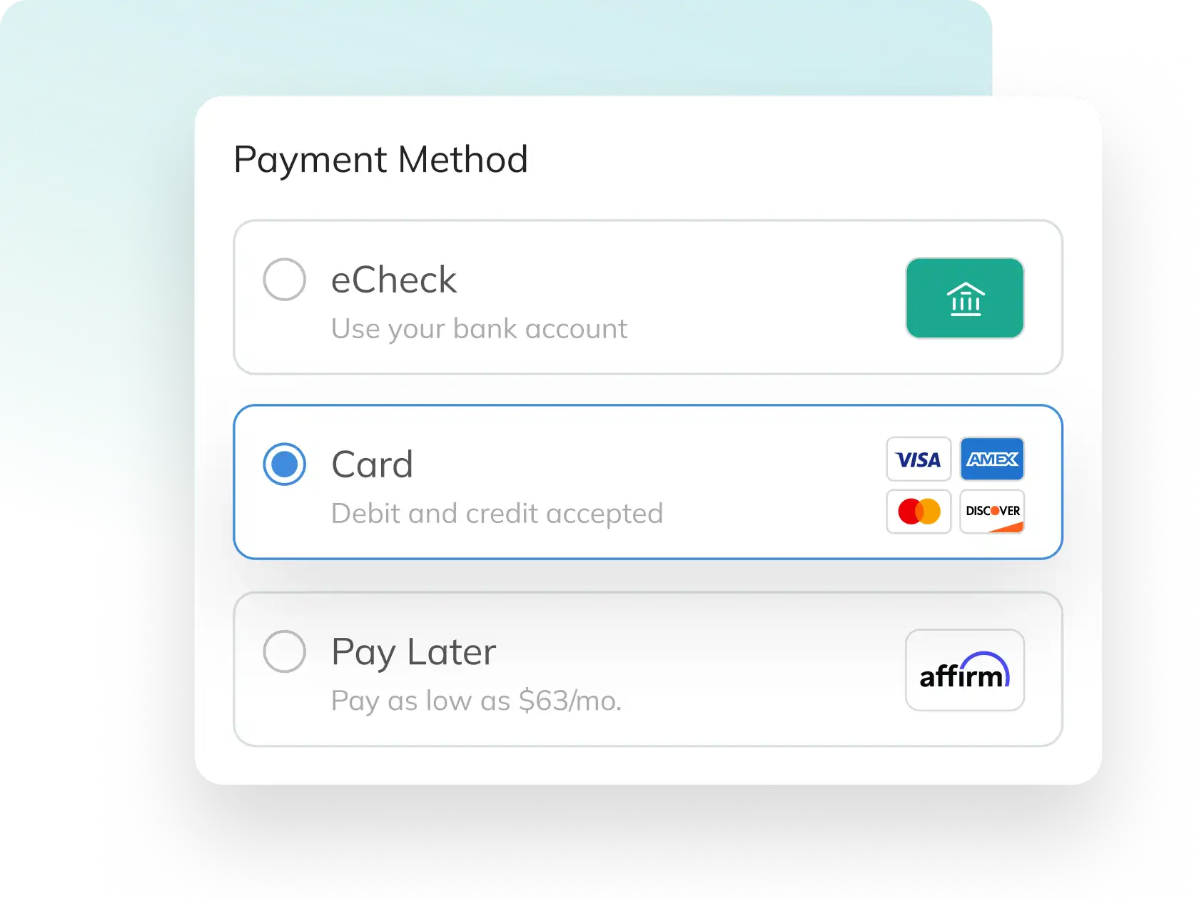Payment method options showing echeck, credit cards, and pay later