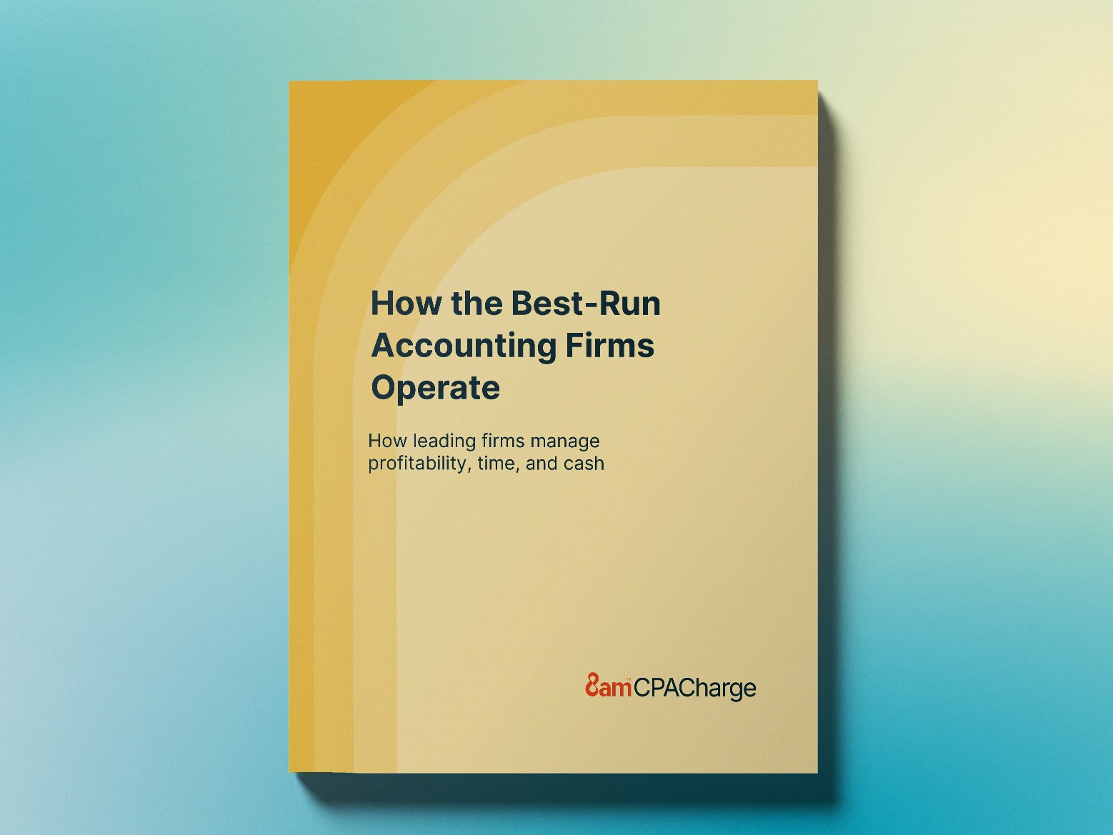 How the Best-Run Accounting Firms Operate: How leading firms manage profitability, time, and cash