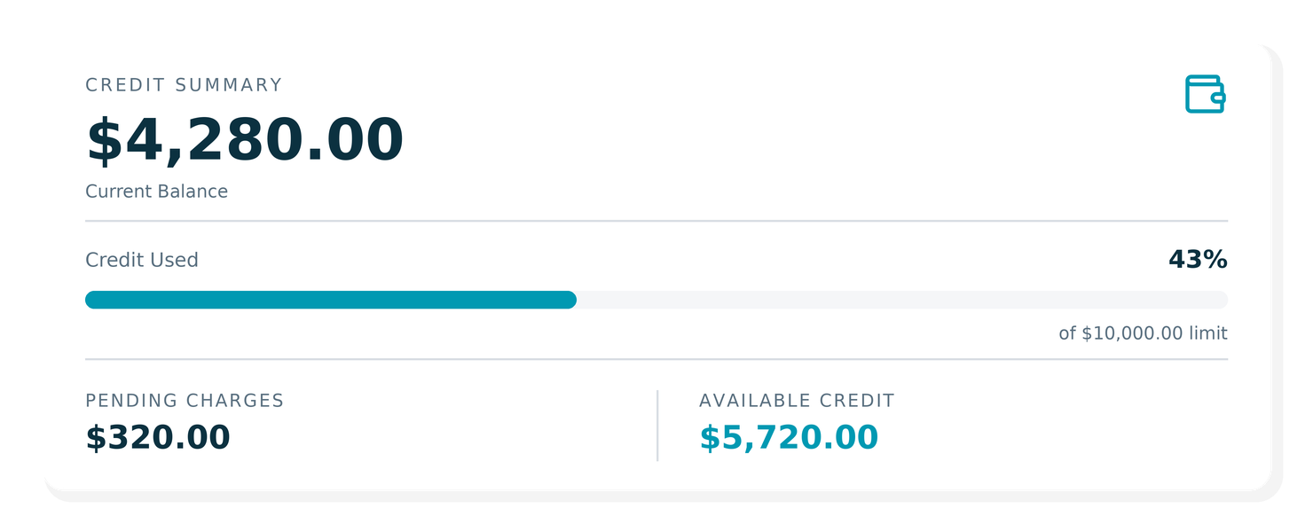 Credit Summary UI