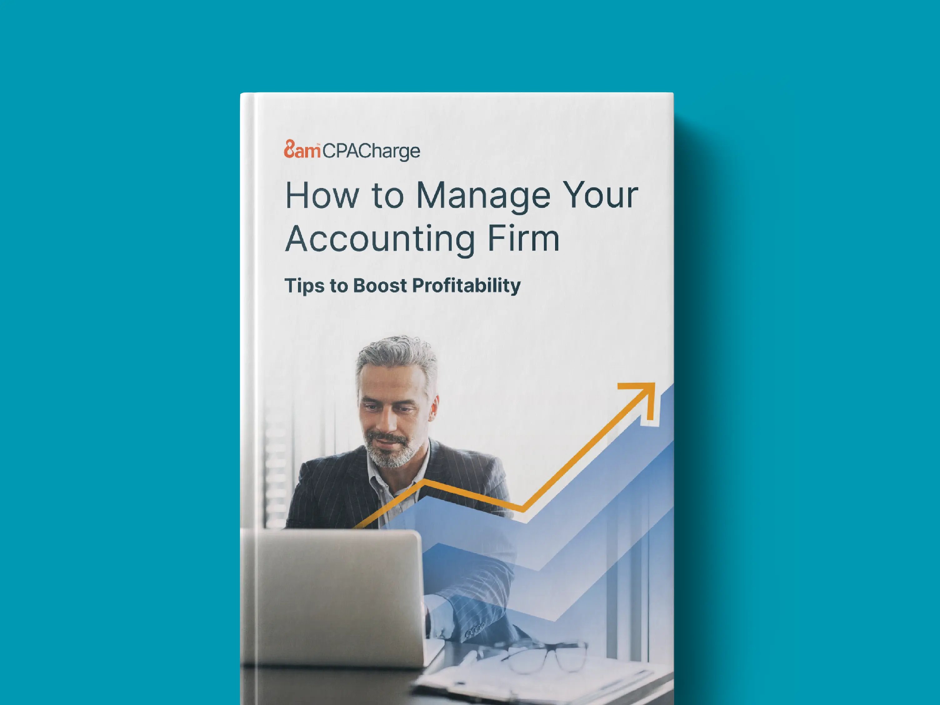 Image of a book titled: How to manage your accounting firm: Tips to boost profitability