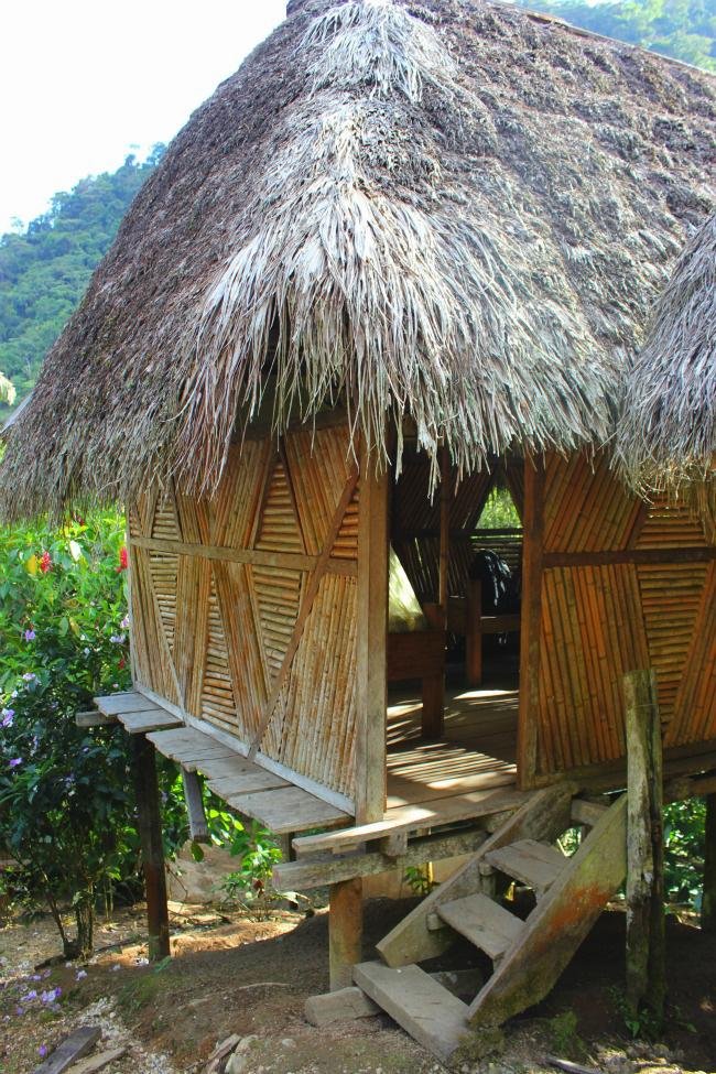 Ecuador Jungle Homestay Lodge