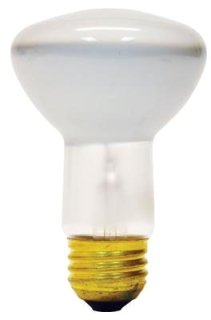 30R20/1/6PK - 120 Volt R20 Lamp
