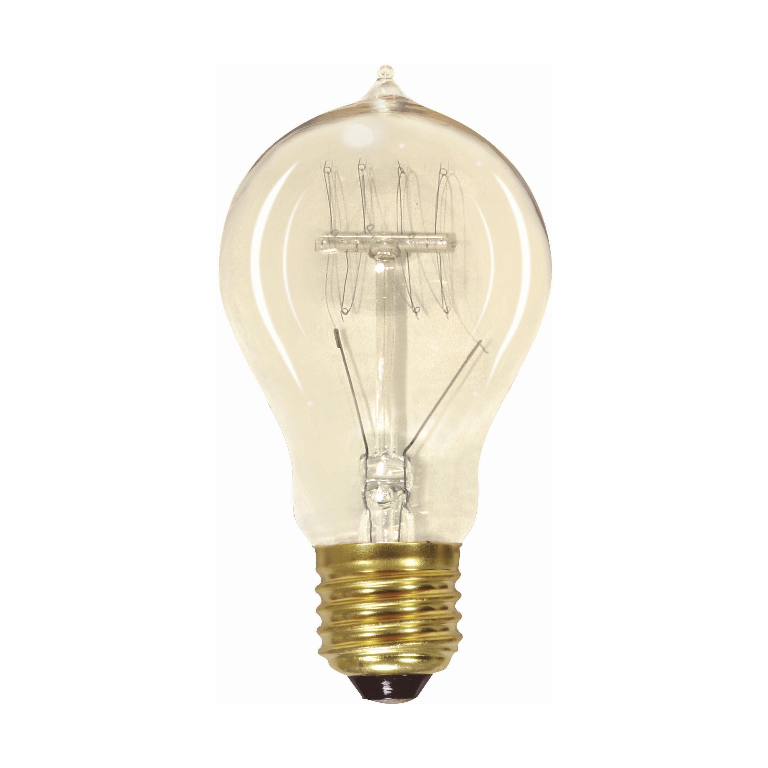 S2419 - 60 Watt A19 Incandescent - Clear - 3000 Average rated hours - 240 Lumens - Medium base - 120 Volt