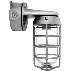 VXBR100DG - VAPORPROOF VXBR 100W WALL BRACKET 4 INCHES BOX 1/2 INCH WITH GLASS GLOBE CAST GUARD