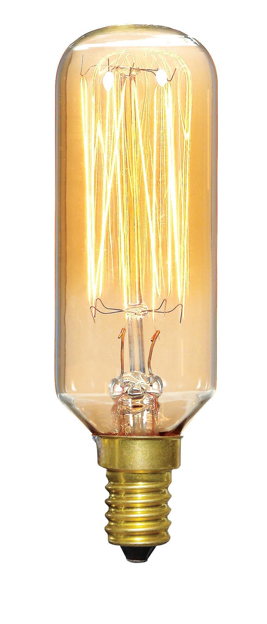 Picture of S2420 - 40 Watt T9 Incandescent - Clear Gold - 3000 Average rated hours - 160 Lumens - Candelabra base - 120 Volt