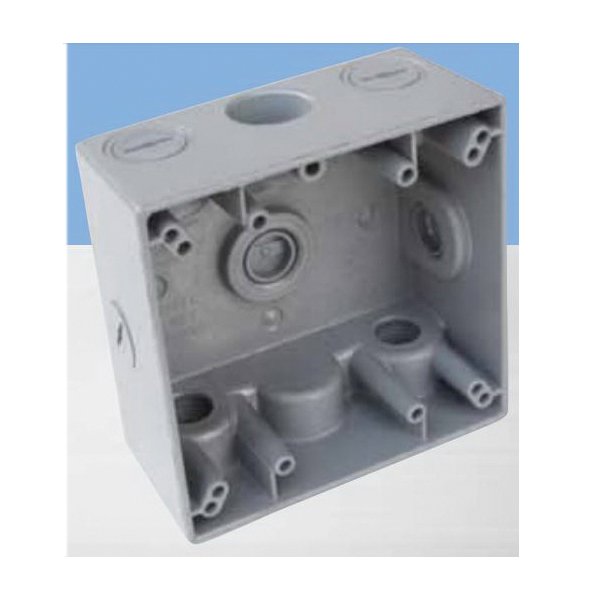 30233Z - 2G WP BOX 3H-1/2" W/LG BR