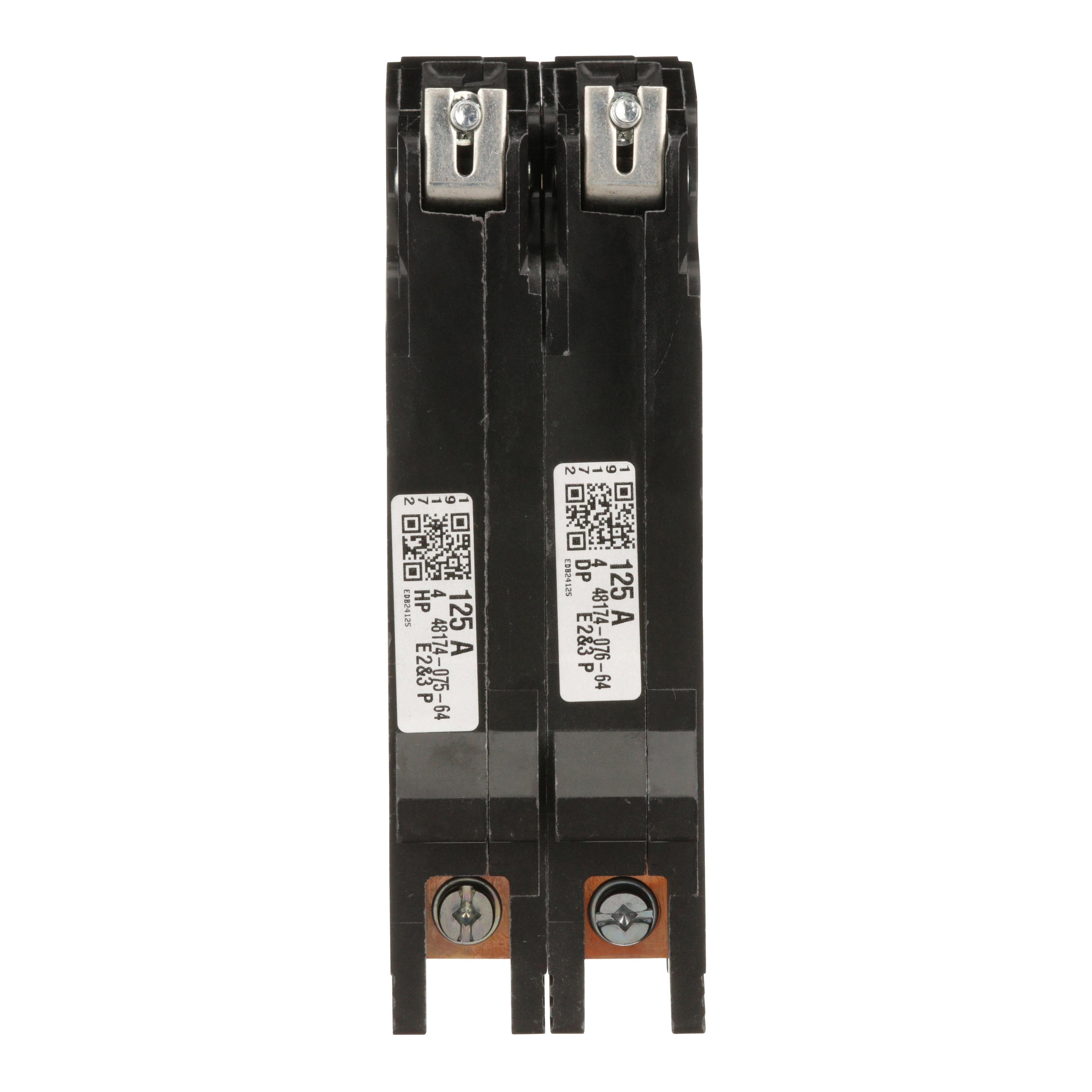 Picture of EDB24125 - Mini circuit breaker, E-Frame, 125A, 2 pole, 480Y/277VAC, 25kA max, bolt on [TAA]