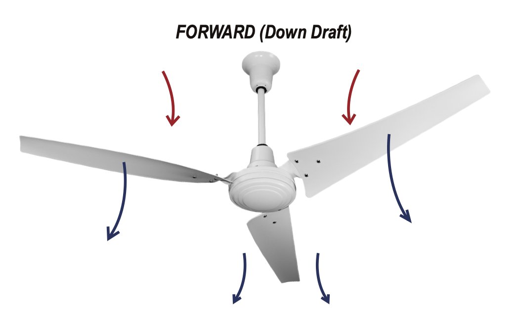 TPI E56CFD, 56" Industrial Ceiling Fan White