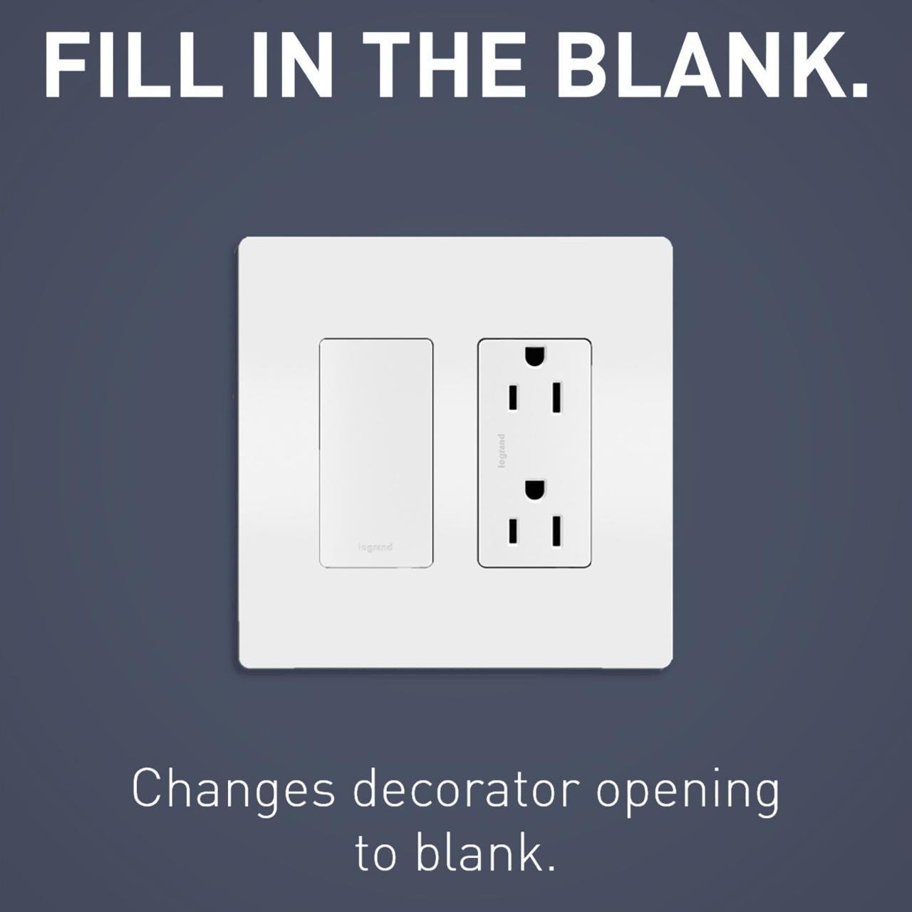 Picture of White Wall Plate Insert