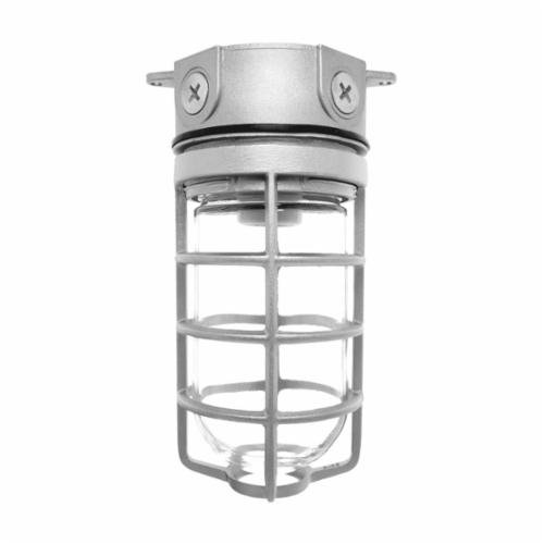 Picture of VX100DG - VAPORPROOF 100W CEILING 4 INCHES BOX 1/2 INCH NPS GLOBEGLOBE DIE CAST GRD