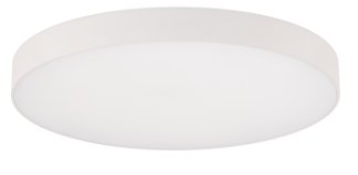 FM-240505-9CS-WT - Edgeless Round LED 5 inch White Flush Mount Ceiling Light