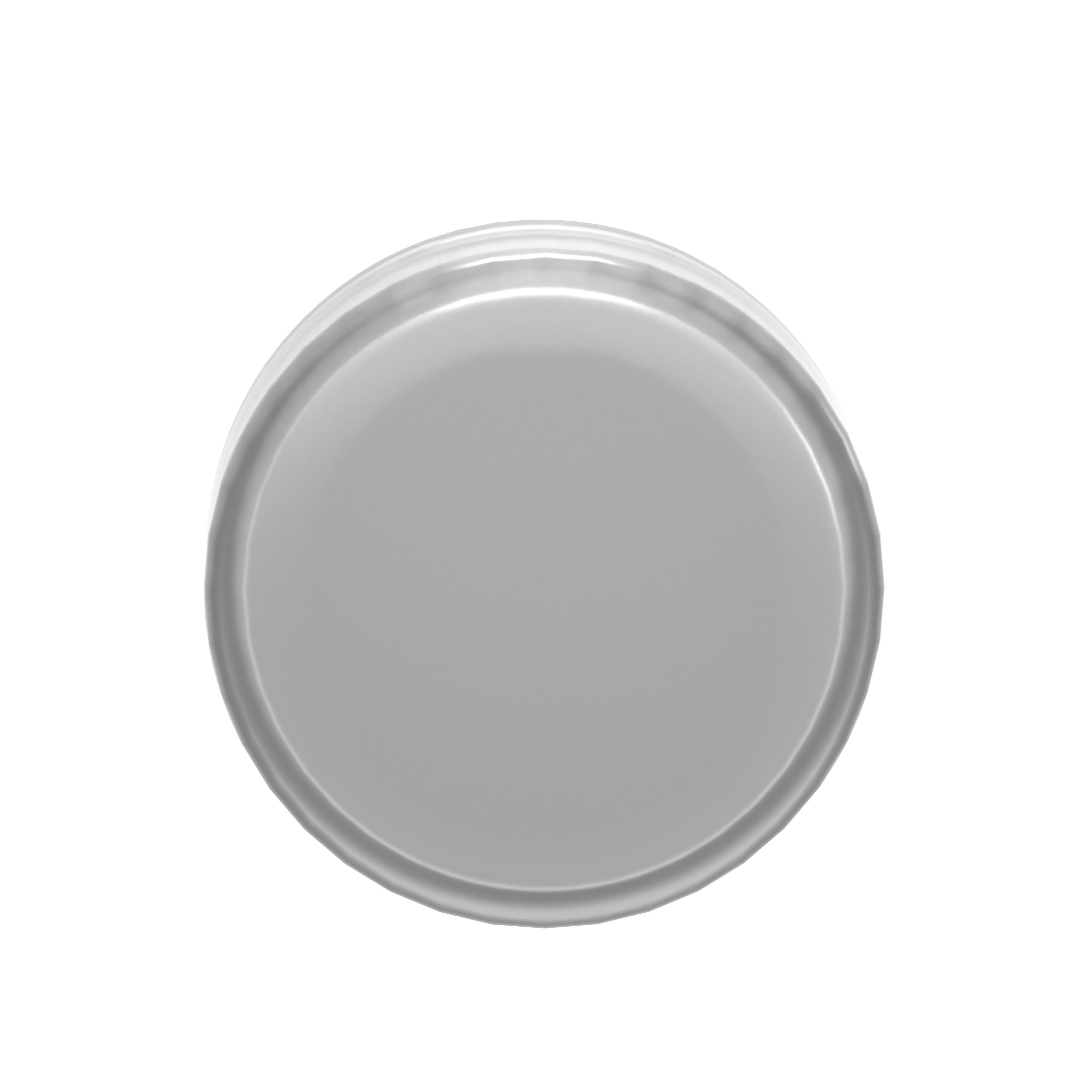 ZB4BV013 - Head for pilot light, Harmony XB4, metal, white, 22mm, universal LED, plain lens