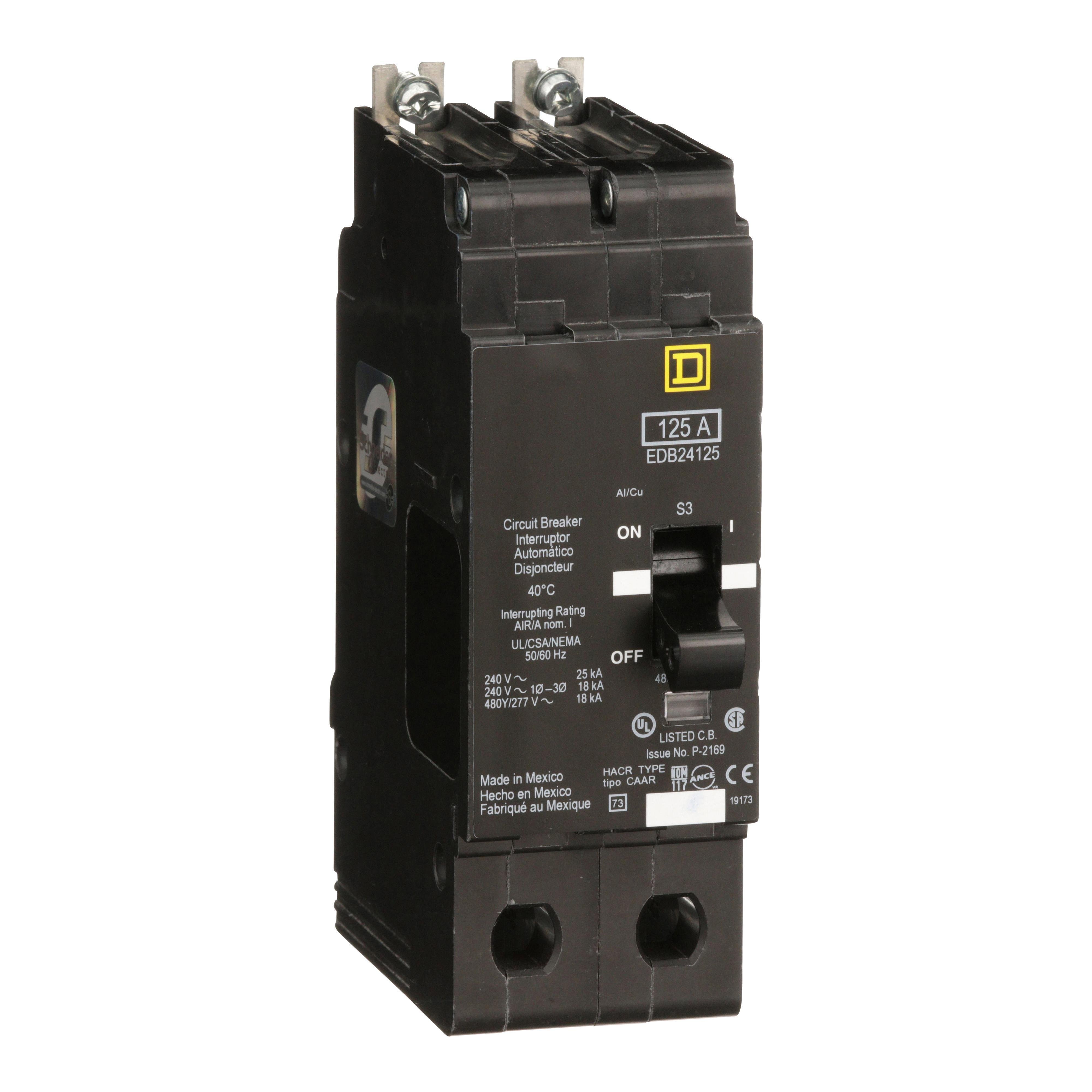 Picture of EDB24125 - Mini circuit breaker, E-Frame, 125A, 2 pole, 480Y/277VAC, 25kA max, bolt on [TAA]